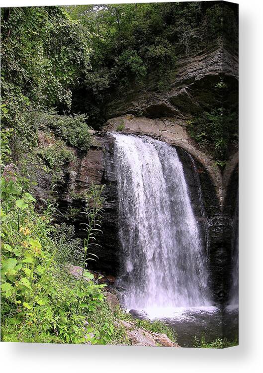 Looking Glass Falls Canvas Print featuring the photograph Looking Glass Falls by Jeff Heimlich