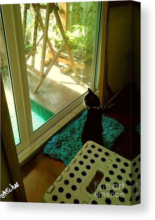 Cat Canvas Print featuring the photograph Looking Outside by Sukalya Chearanantana