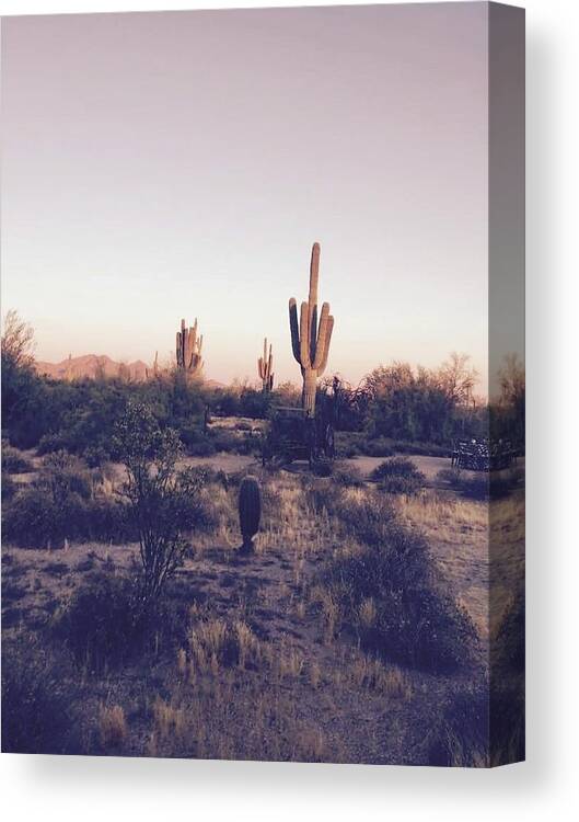 Scottsdale Canvas Print featuring the photograph Lost in the Desert by Michael Albright