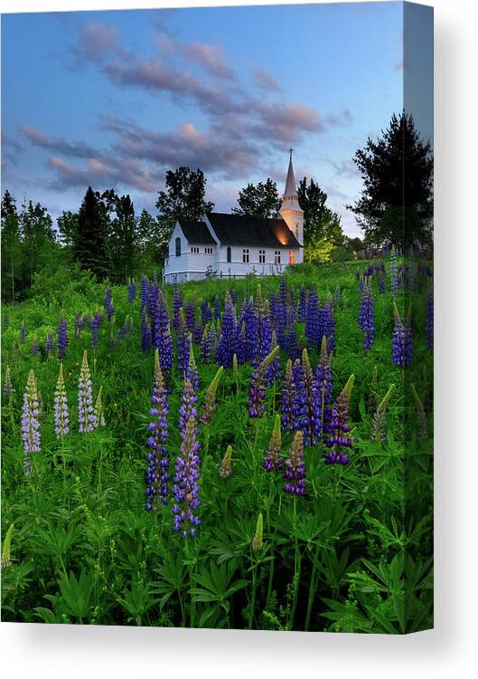 Lupines Canvas Print featuring the photograph Lupines by the Church by Rob Davies