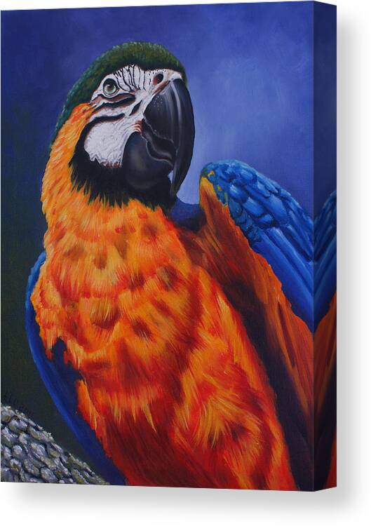 Bird Canvas Print featuring the painting Macaw by Theresa Cangelosi