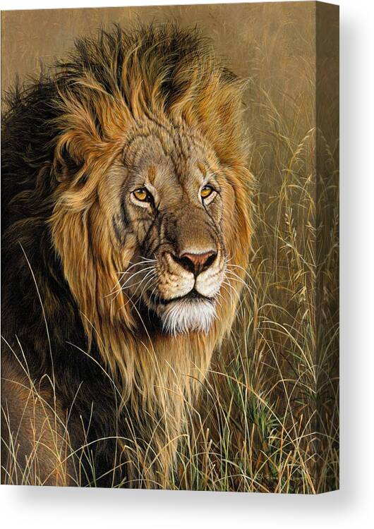 Lion Canvas Print featuring the painting Male Lion by Alan M Hunt