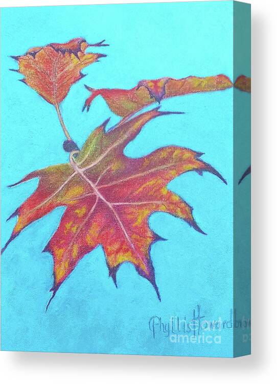Maple Canvas Print featuring the drawing Drifting into Fall by Phyllis Howard