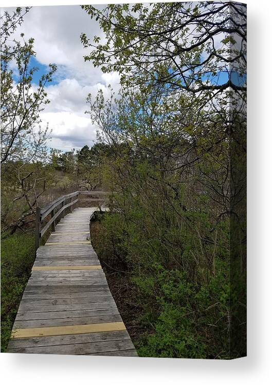 Marsh Canvas Print featuring the photograph Marsh Walk by Mary Capriole