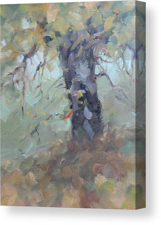 Landscape Plein Air Tree Meadow Sky Leaves Fall Canvas Print featuring the painting Meadow Oak by Ruth Andre