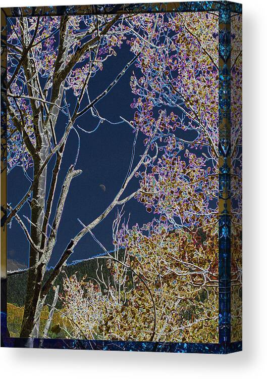 Nature Canvas Print featuring the photograph Moon Between Trees by Feather Redfox