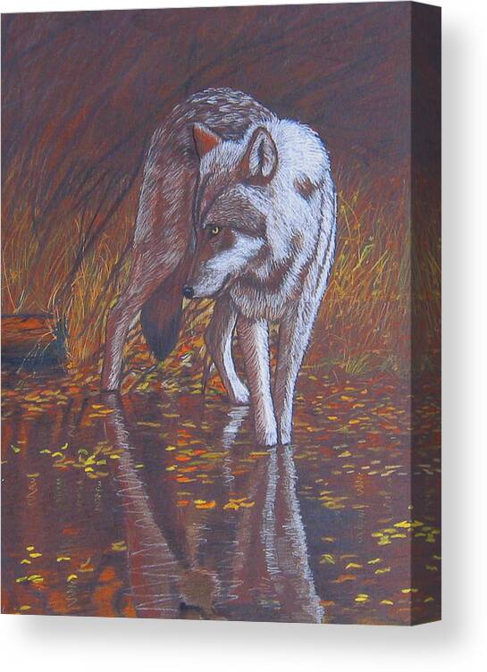 Wolf Canvas Print featuring the drawing Moonlight Drink by Lorraine Foster