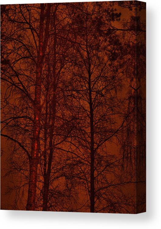 Lehtokukka Canvas Print featuring the photograph Moonshine 11 Red sky by Jouko Lehto