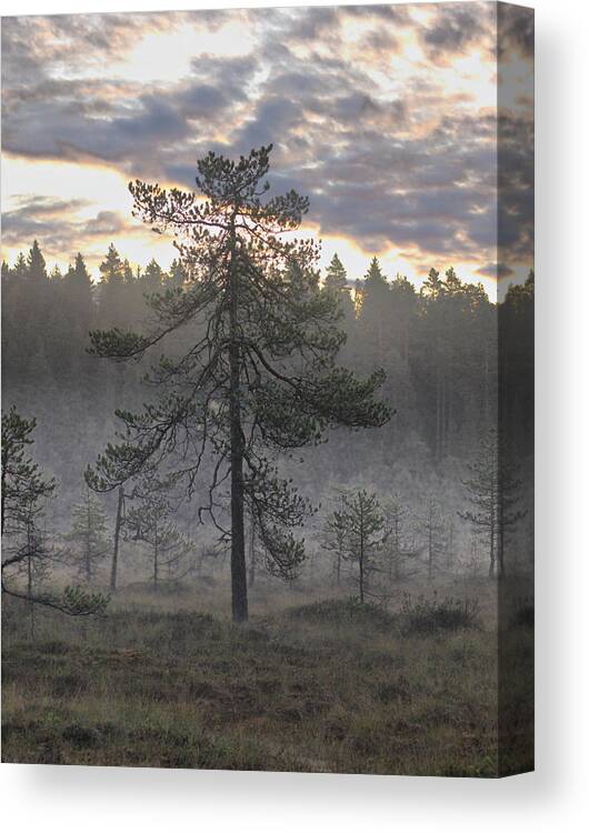 Lehtokukka Canvas Print featuring the photograph Morning light at Saari-Soljonen 7 by Jouko Lehto