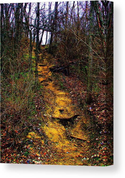 Hiking Canvas Print featuring the photograph Mustard Hill by Marie Jamieson