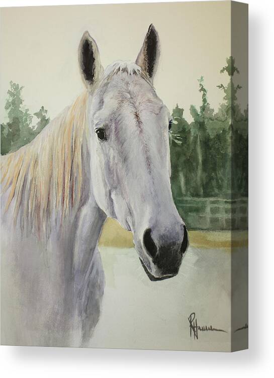 Horse Canvas Print featuring the painting My Name Was Mouse by Rachel Bochnia