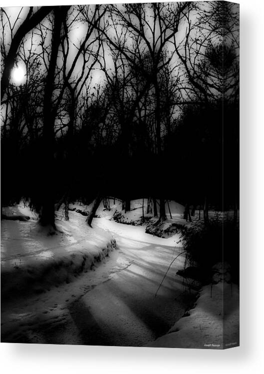 Winter Canvas Print featuring the photograph My Secret Place by Joseph Noonan