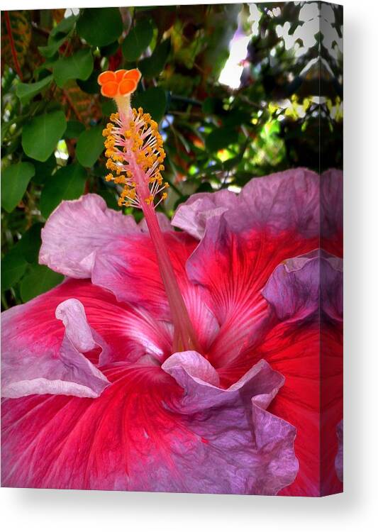 Flower Canvas Print featuring the photograph My Special Hibiscus by Lori Seaman