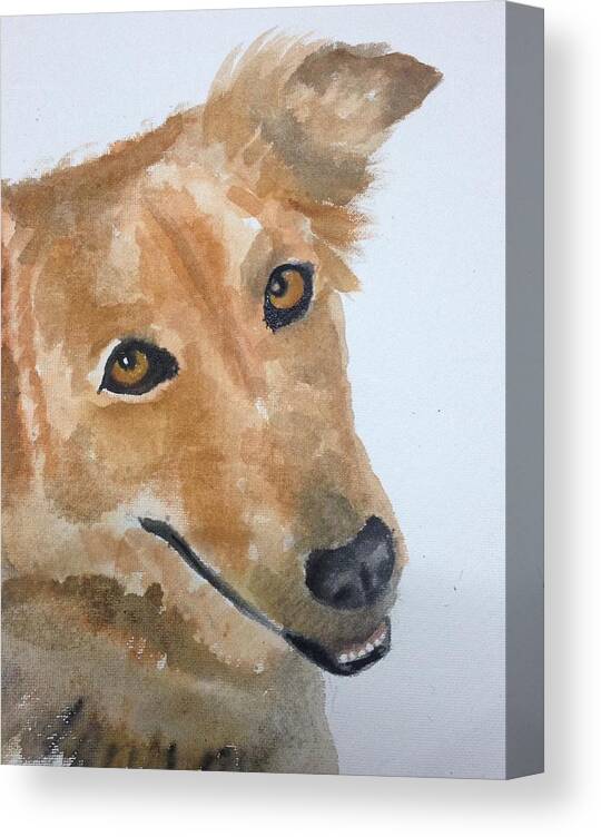 Dog Canvas Print featuring the painting Naanu by Elizabeth Mundaden
