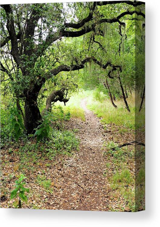 Nature Canvas Print featuring the photograph Nature's Open House by Gary Richards