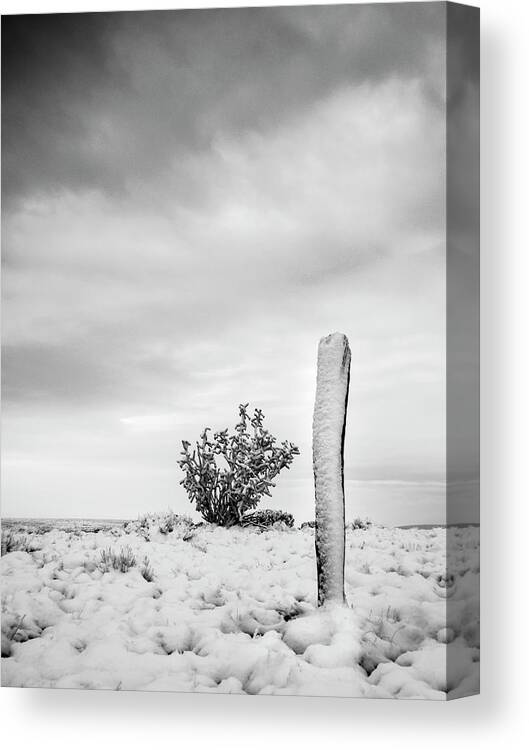 New Mexico Canvas Print featuring the photograph New Mexico Fence Post in Winter in Black and White by Mary Lee Dereske