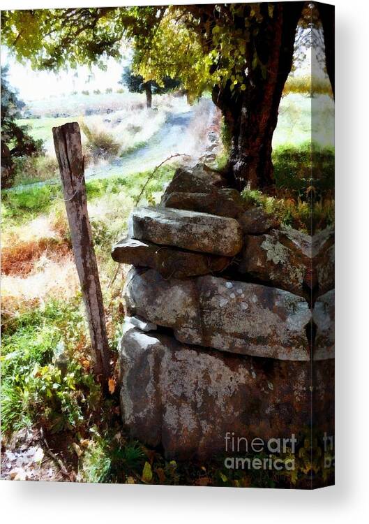 Fence Post Canvas Print featuring the photograph Old fence post Orchard by Janine Riley