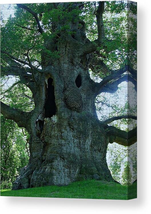 Tree Canvas Print featuring the photograph Old Man Tree by Digital Art Cafe