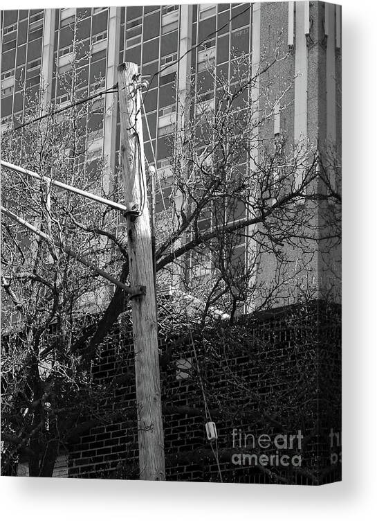 Telephone Pole Canvas Print featuring the digital art Old Telephone Pole by Phil Perkins