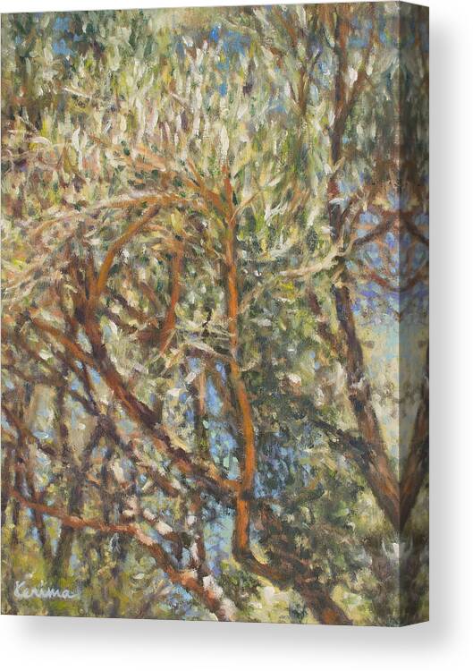 Olive Canvas Print featuring the painting Olive Trees by Kerima Swain