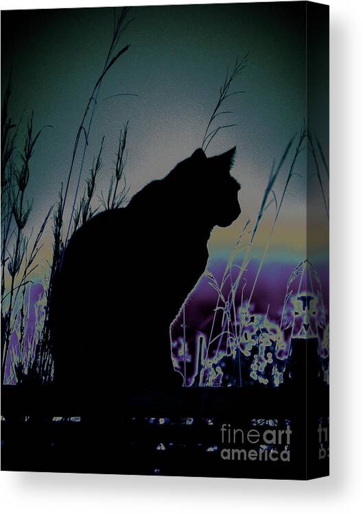 Cat Canvas Print featuring the photograph On the Fence by Karen Lewis