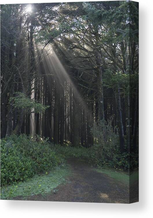  Canvas Print featuring the photograph On the Right Path by HW Kateley
