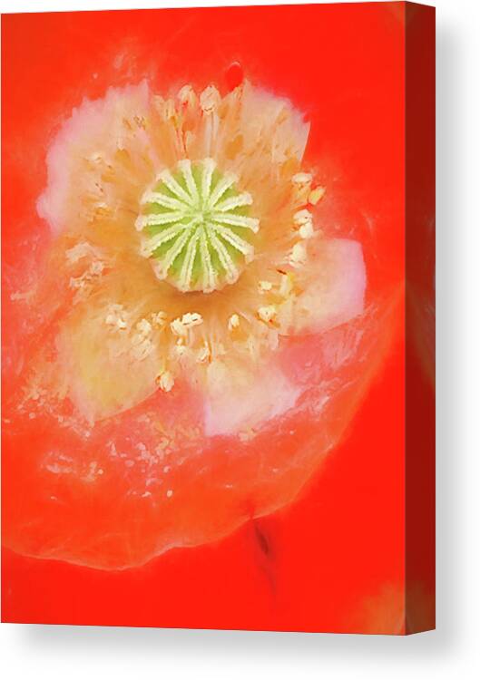 Poppy Canvas Print featuring the photograph Orange Oriental Poppy Painterly by Carol Leigh