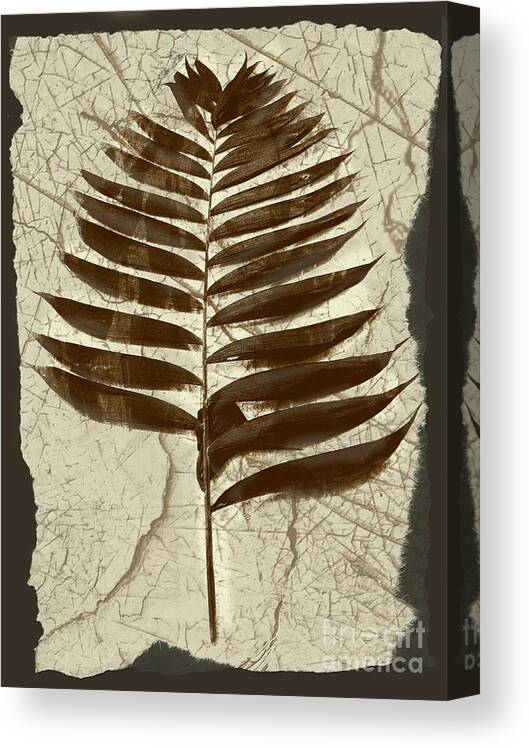 Photograph Canvas Print featuring the digital art Palm Fossil Sandstone by Delynn Addams