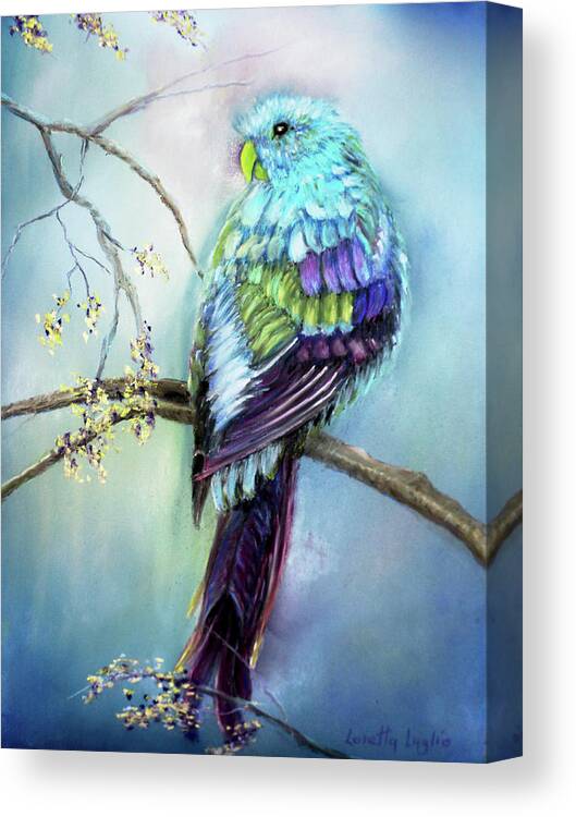 Australian Canvas Print featuring the painting Parrot by Loretta Luglio