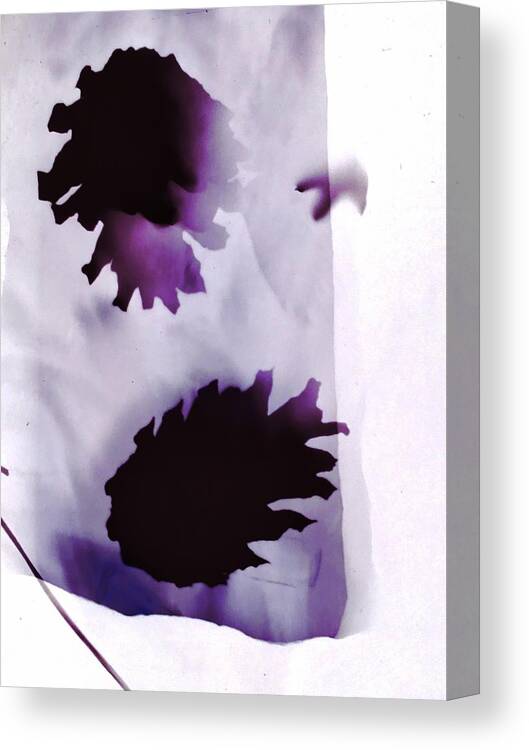 Photogram Canvas Print featuring the photograph Pine cones ultra violet and white by Itsonlythemoon