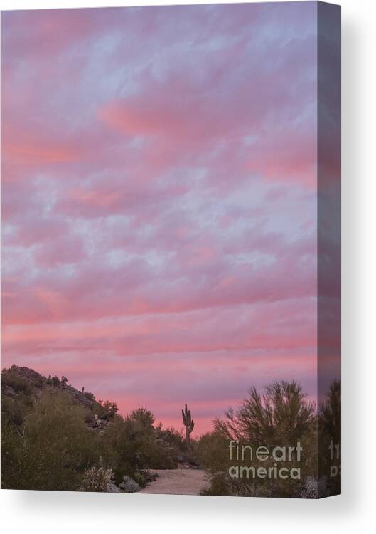 Sunset Canvas Print featuring the photograph Pink Sky Desert Sunset by Tamara Becker