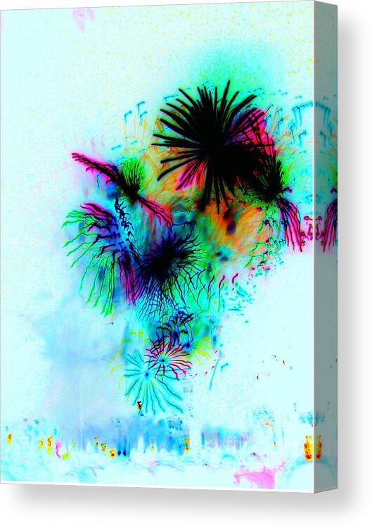 Fireworks Canvas Print featuring the photograph Psycho Excitement by Julie Lueders 