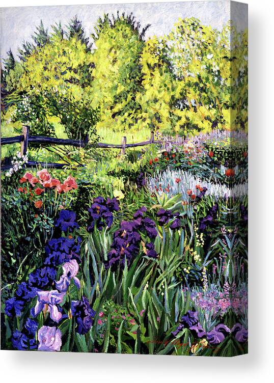 Irises Canvas Print featuring the painting Purple Garden by David Lloyd Glover