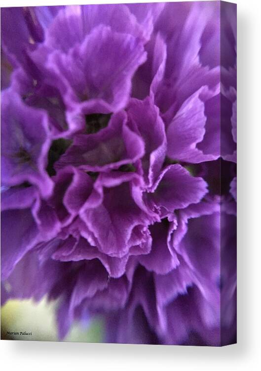 Purple Canvas Print featuring the photograph Purple Life by Marian Lonzetta