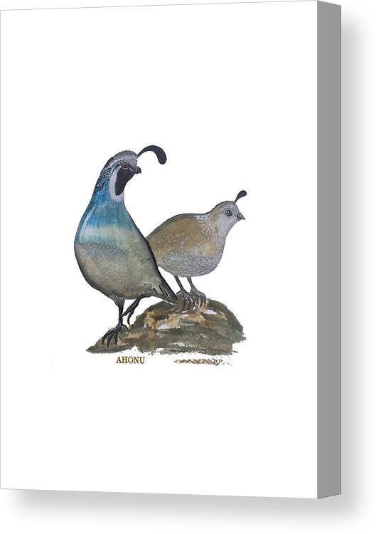 Quail Canvas Print featuring the painting Quail Parents Wondering by AHONU Aingeal Rose