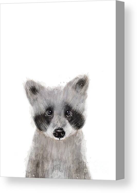 Raccoon Canvas Print featuring the painting Raccoon by Bri Buckley