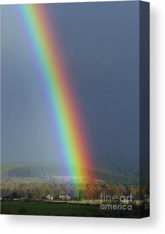 Rainbow Canvas Print featuring the photograph Brilliant Rainbow by Phil Banks