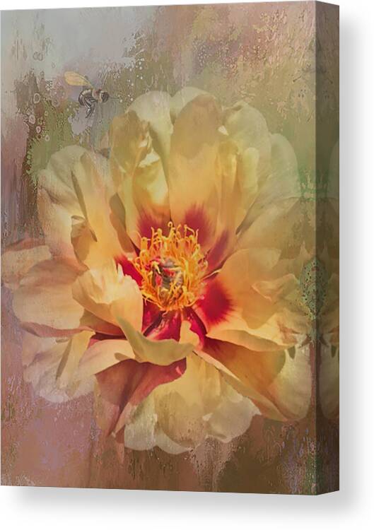 Flower Canvas Print featuring the photograph Rayanne's peony by Jeff Burgess