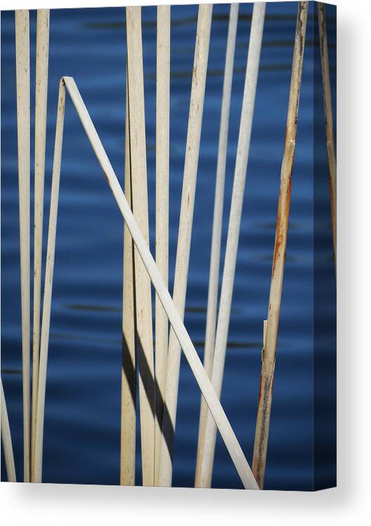 Water Canvas Print featuring the photograph Reeds by Azthet Photography