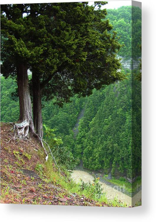 Landscape Canvas Print featuring the photograph River Down Below by Deborah Johnson