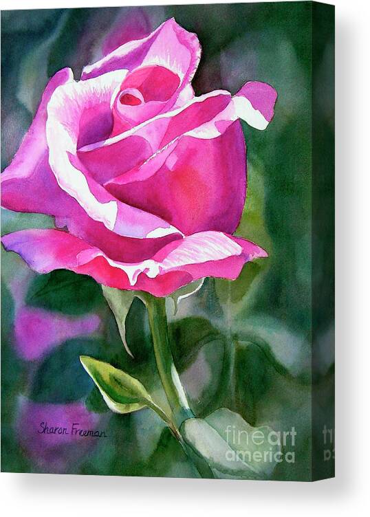Rose Violet Bud Canvas Print / Canvas Art by Sharon Freeman