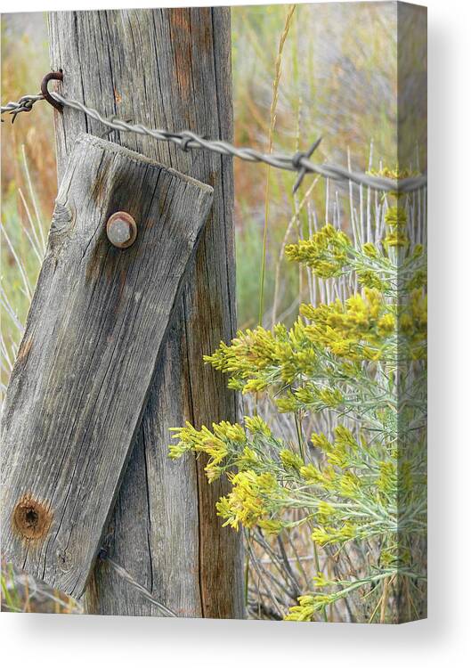 Fence Canvas Print featuring the photograph Rustic Fence and Wild Flowers Montana by Jennie Marie Schell