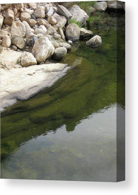 Sabino Canyon Canvas Print featuring the photograph Sabino Canyon Creek by Judith Lauter