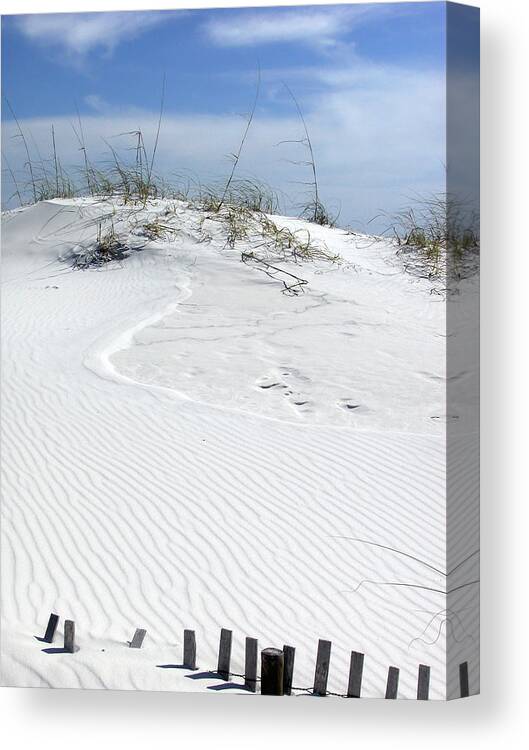 Sand Dunes Canvas Print featuring the photograph Sand Dunes Dream 2 by Marie Hicks