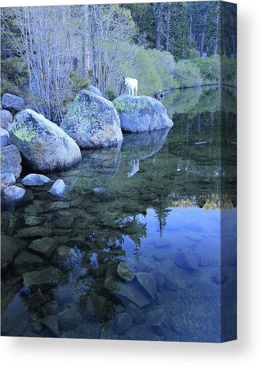 Waterscape Canvas Print featuring the photograph Sekani Dawn by Sean Sarsfield