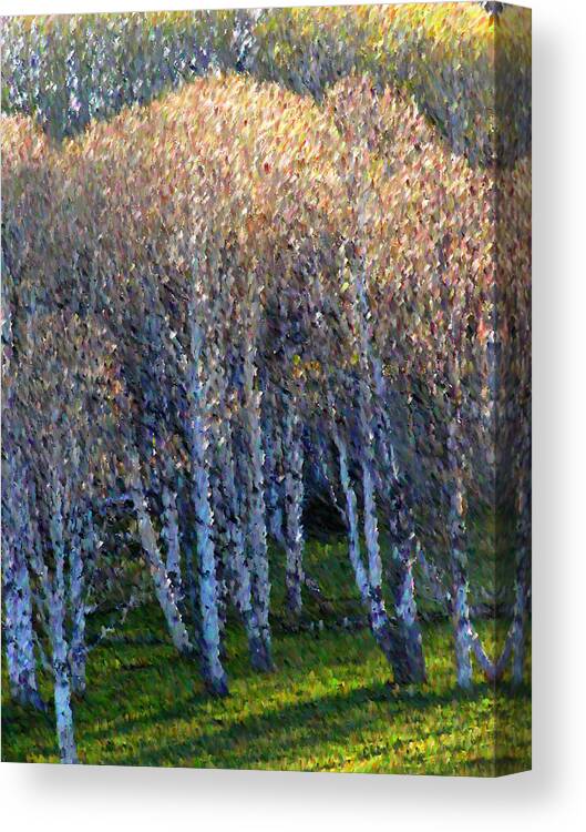 Landscape Canvas Print featuring the mixed media Silver Trees by John-Marc Grob