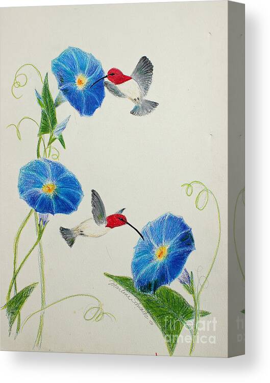 Anna's Hummingbirds Canvas Print featuring the painting Sip, Sip by Marlene Schwartz Massey