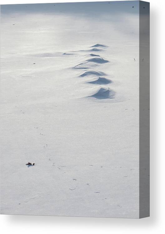 Winter Canvas Print featuring the photograph Snow Drifts by Azthet Photography