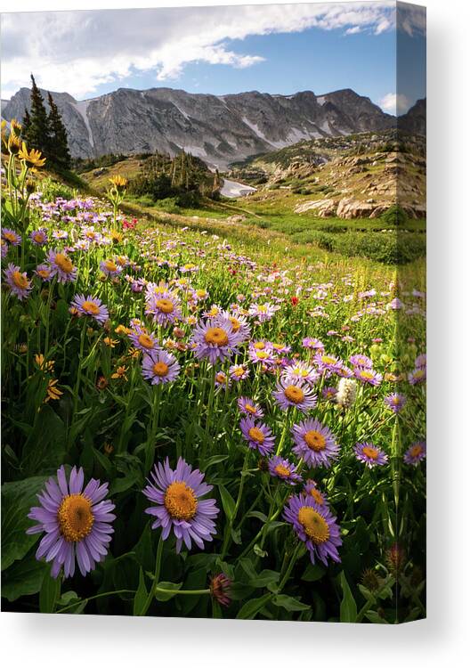 Snowy Range Canvas Print featuring the photograph Snowy Range Flowers by Emily Dickey