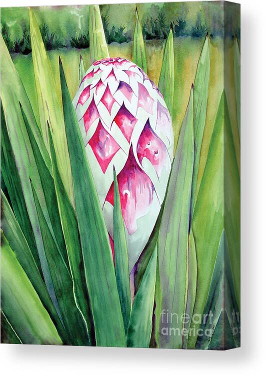 Floral Painting Canvas Print featuring the painting Spanish Dagger II by Kandyce Waltensperger